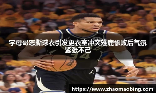 星空xingkong官网