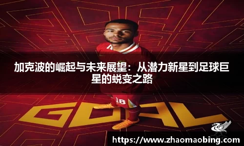 星空xingkong官网